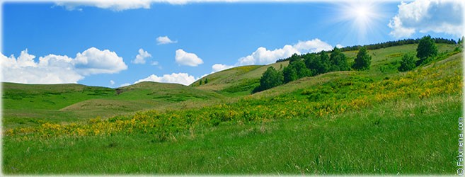 Именины в июне на месяц