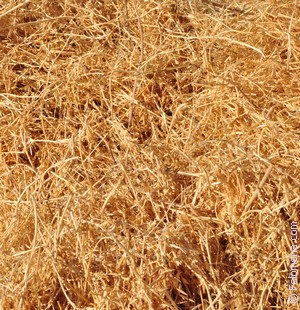 Примета Солома Примета Солома