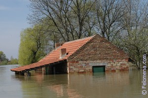К чему снится Бедствие во сне по соннику Сонник Бедствие