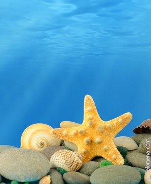 К чему снится Подводный во сне по соннику Сонник Подводный