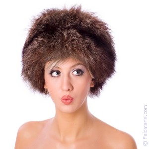 Сонник Богема