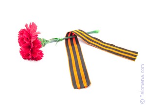 К чему снится День Победы во сне по соннику Сонник День Победы