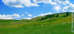 Лезть на холм во сне. holm. Лезть на холм во сне фото. Лезть на холм во сне-holm. картинка Лезть на холм во сне. картинка holm. Объяснения того, к чему снится холм, мало разнятся, но зависят они от того, какой именно сонник расшифровывал данный образ. Для точного определения, следует припомнить, как выглядел во сне холмик, и чем вы на нем занимались.
