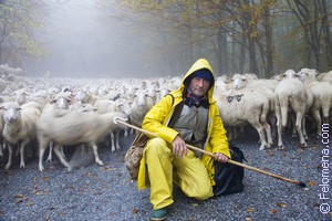 К чему снится Пастух во сне по соннику Сонник Пастух