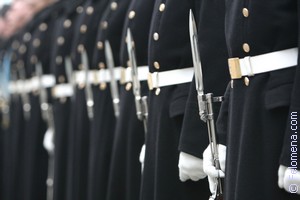 К чему снится Полк во сне по соннику Сонник Полк