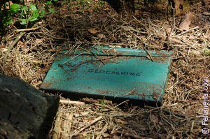 К чему снится Тайник во сне по соннику Сонник Тайник