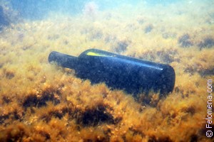 К чему снится Тина во сне по соннику Сонник Тина