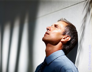 К чему снится Впросак во сне по соннику Сонник Впросак